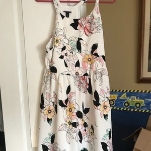 Torrid Floral Scuba Knit Dress